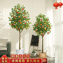 �������Ә����Է��b��Gֲ�҃�������Ә�֦�[���b٘�Gֲ�辰