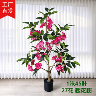 ����ѻ��� ����Gֲ�� �Ƶ��쾰չ�d�bGֲ�zӰ