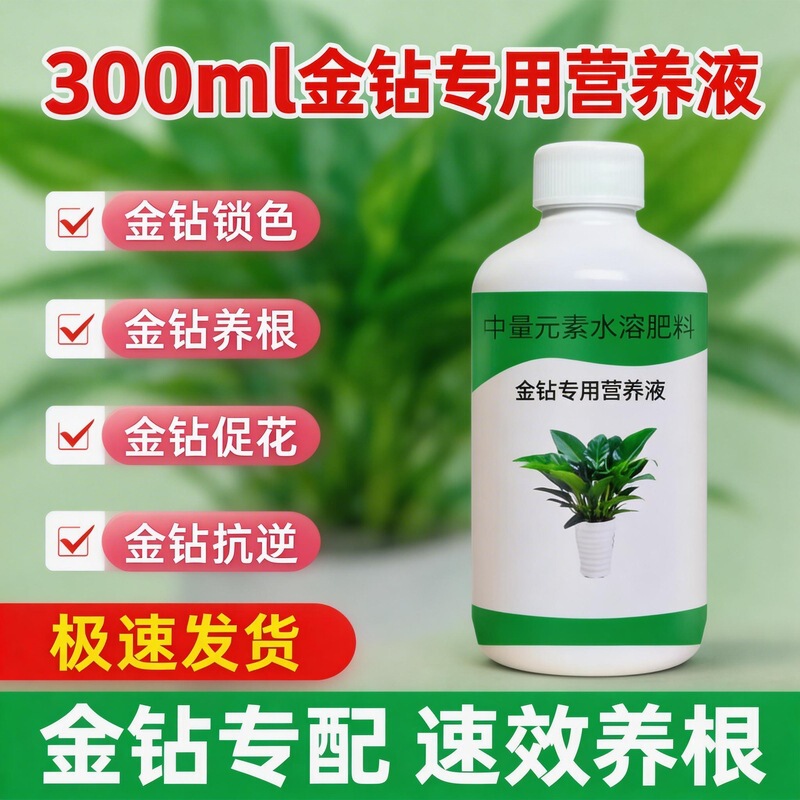 Special Nutrient Solution Fertilizer for Golden Diamond Plants: Yellowing Leaves, Burnt Tips, Dry and Rotten Leaves, Yellow Leaves, Black Spots, Root Rot, Green Princess, Pothos Special Nutrient Solution Fertilizer for Golden Diamond Plants: Yellowing Leaves, Burnt Tips, Dry and Rotten Leaves, Yellow Leaves, Black Spots, Root Rot, Green Princess, Pothos