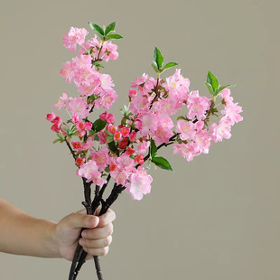 �ѻ����滨�һ��Ҿӿ͏d�b͏d����[������DIY���滨diy����