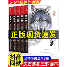 【抖音同款】狼王梦正版全套5册沈石溪动物小说画本系列三四五六