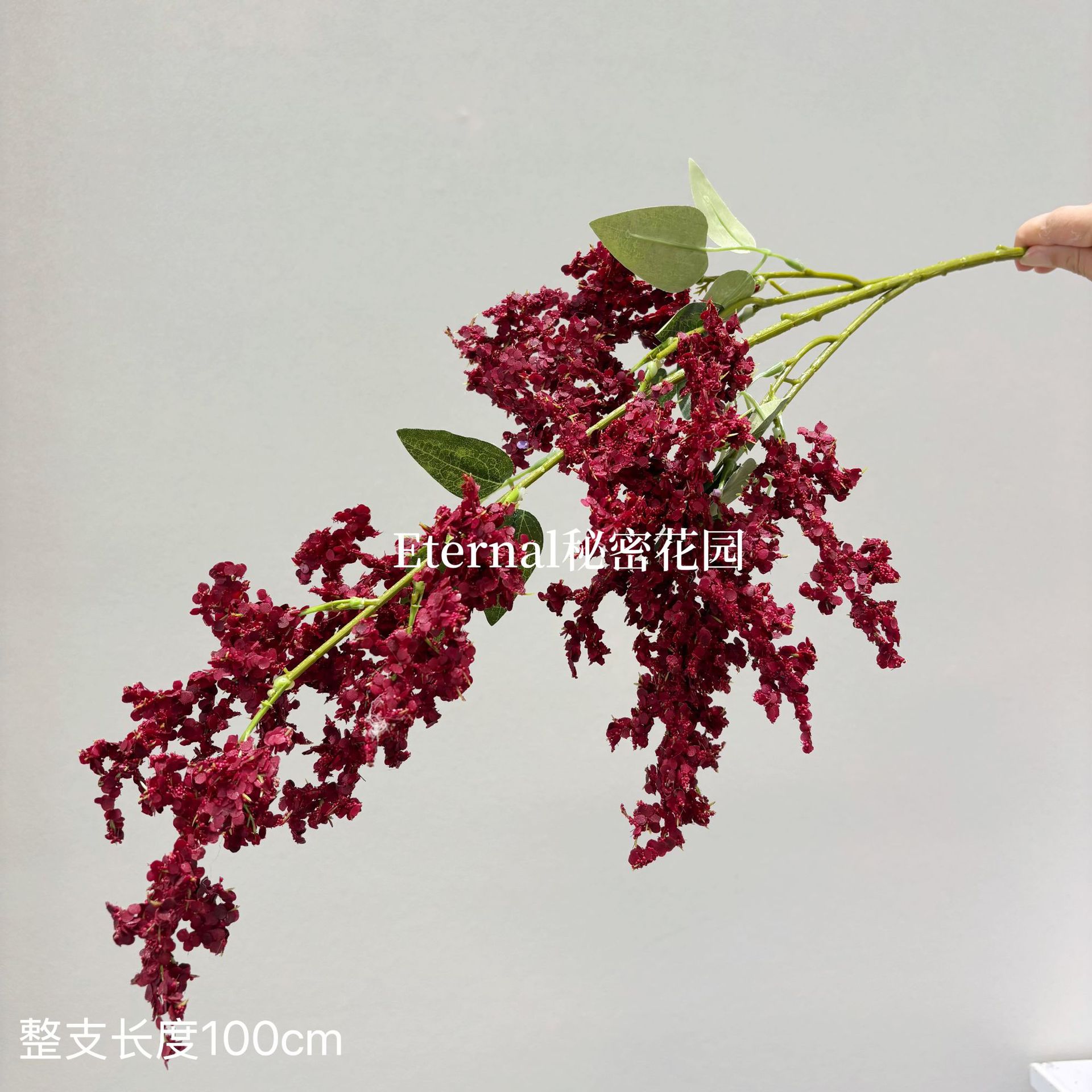 라일락(약간 가루가 묻어남)