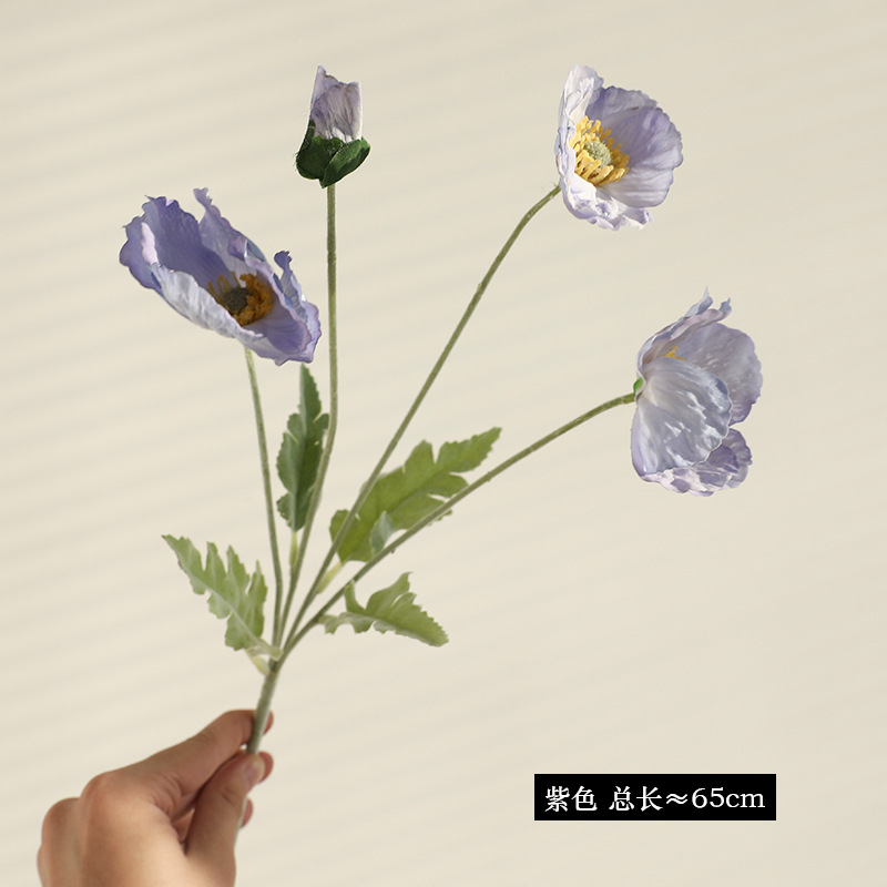 보라
