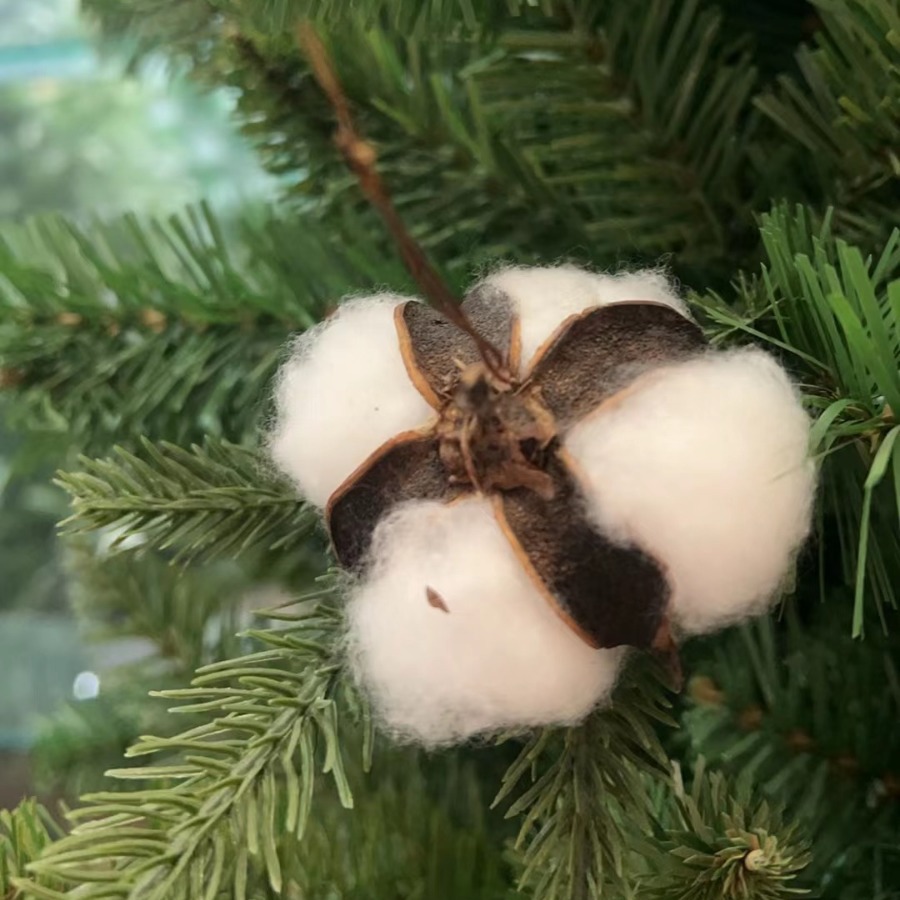 2024-06-06 18:46:57.jpg