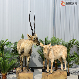 ��������挍�|��ֲë������ӕ���ģ�M�����׽����ﾰ�^չƷ