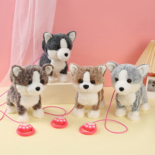 ҹ����߷���늄���߹�ë�q���Е���·�uβ��С��Ů��ë�q��߹�