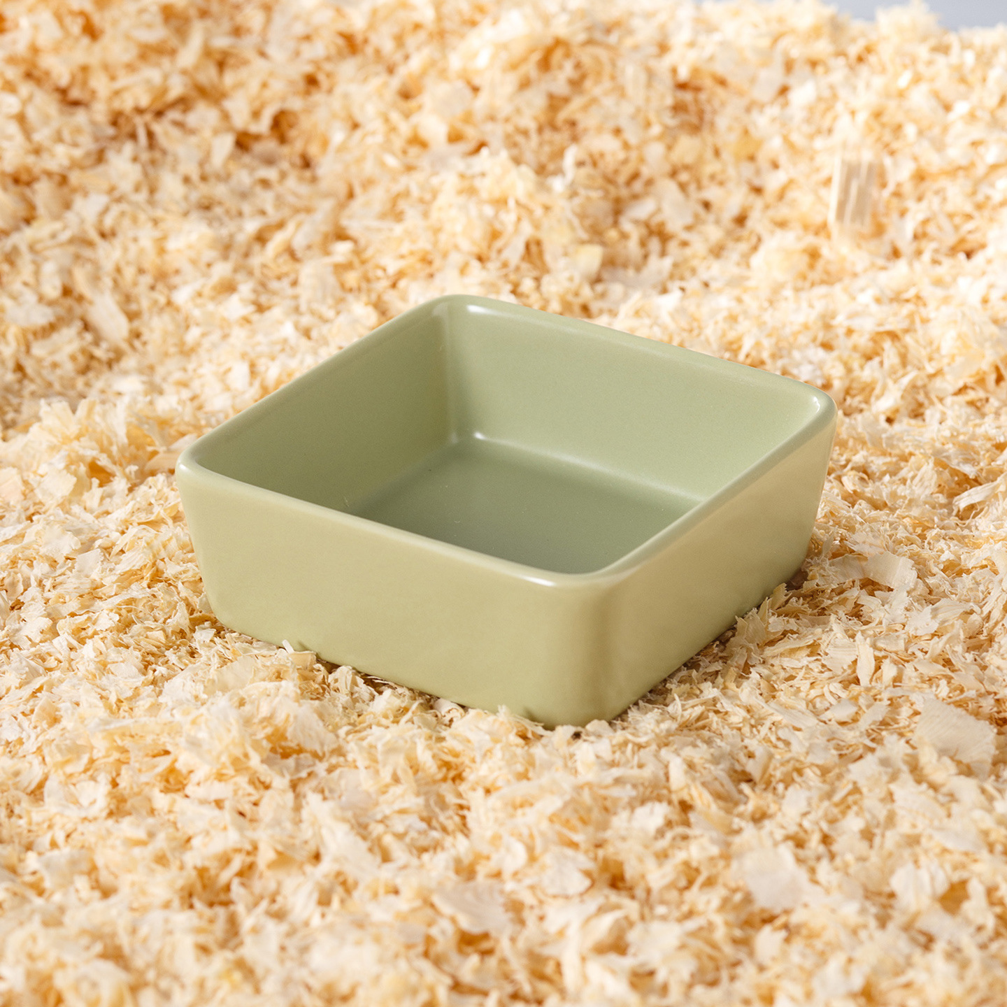 Nuevo tazón de cerámica transfronterizo para hámster, tazón pequeño para comida de mascotas, tazón dorado para alimentar hámsteres, mini plato antiderrame. image 6