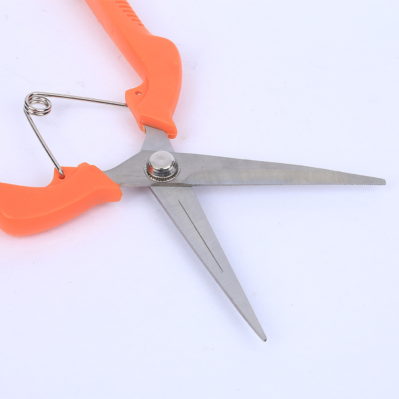 Fruit picking tijeras de acero inoxidable Fruit delgado Fruit picking ramas Fruit picking tijeras horticultura bonsai herramientas tijeras de verduras y frutas