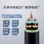 阻燃铠装mgtsmgts33钢丝