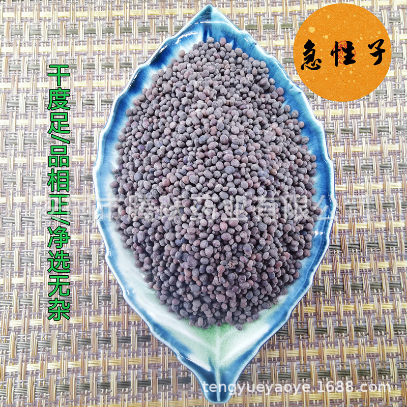 Dried Garden Balsam Seeds Ji Xing Zi 急性子 Impatiens balsamina Traditional Chinese Herb 500g Bag key features