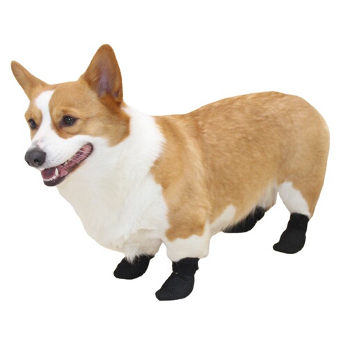 Pet it, anti-dirty and noise-reducing dog foot muffs, cat universal anti-scratch household pet shoes, pet supplies