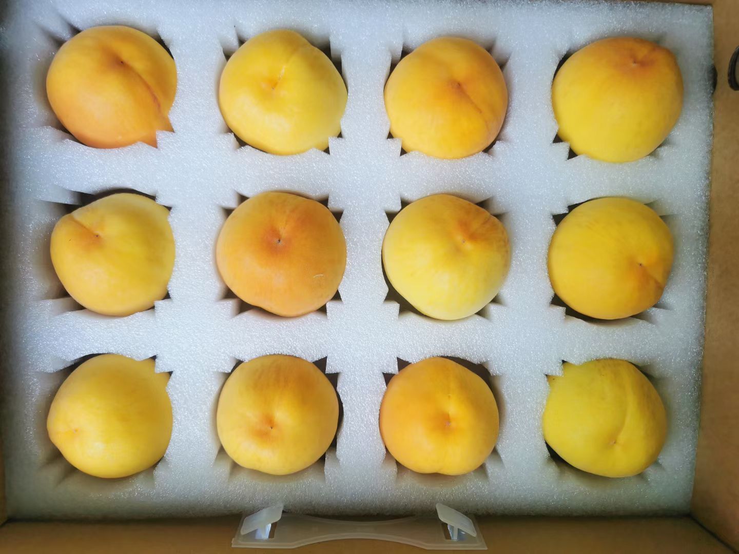 厂家供应水蜜桃快递包装泡沫/成型异形水果包装泡沫