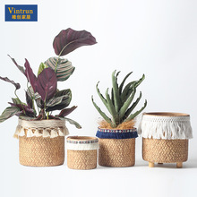 ���W�F�����s�͹��L�񾎿��@͸�����Gֲ�����҃Ȅ���ˮ�໨��