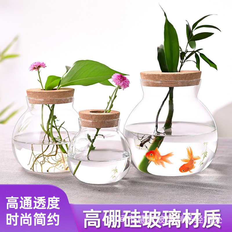 水培植物玻璃花瓶透明简约桌面小摆件懒人生态瓶绿萝插花微景观瓶