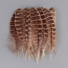 天然羽毛 母山鸡窝翎10-15cm野鸡窝翎羽毛山鸡尾羽DIY饰品配件
