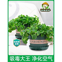 ��������������ֲ���҃ȃ����՚��·�ȥζ�ļ����B��Gֲ