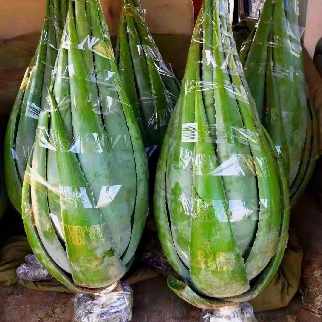 10kg 좌우 1개, 미용실 전용, 프리빗