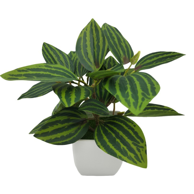 Flor Artificial hoja de la ceja Hoja de sandía flor artificial hoja de frijol verde planta maceta sala de estar decoración del hogar Decoración maceta Decoración image 1