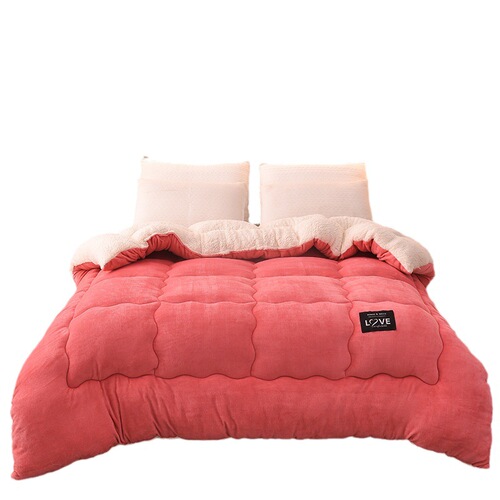 Winter Lamb Wool Winter Blanket Cotton Blanket Student Dorm Thick Warm Milk Wool Filled Blanket Core Live Streaming Group Purchase Wholesale