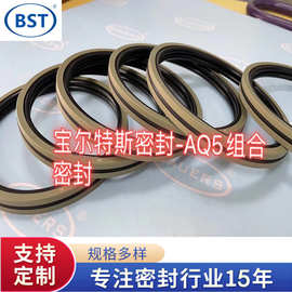 AQ5密封圈，双O圈AQ封 四氟AQ封 组合密封圈 高压密封件 AQ5