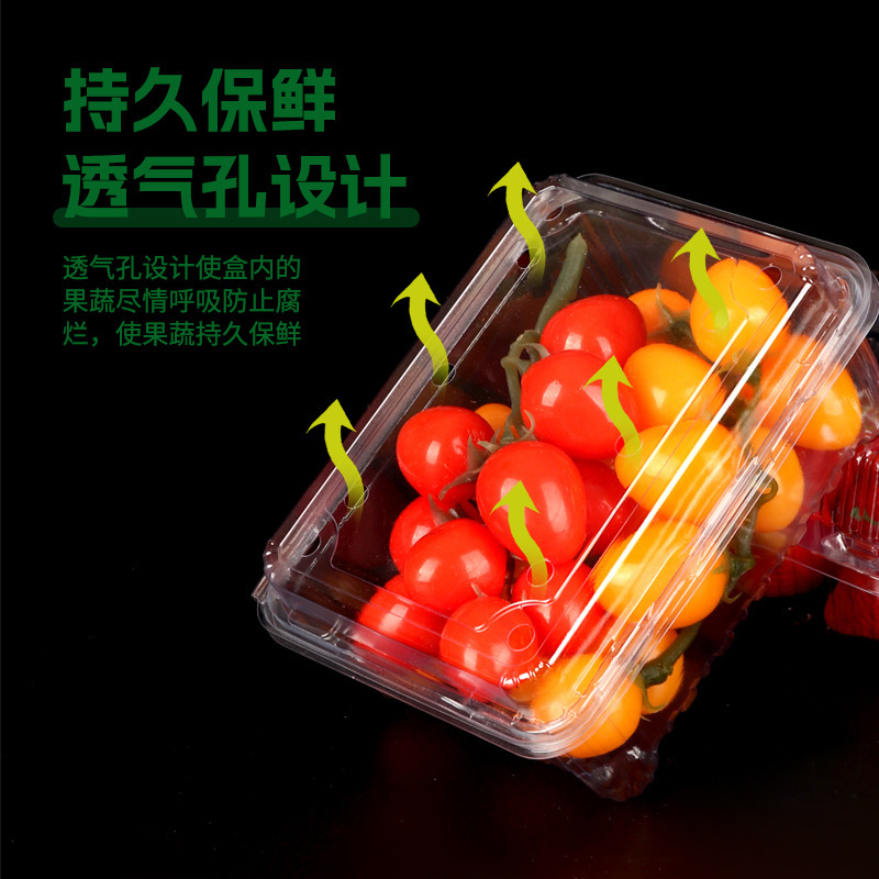 使い捨てフルーツボックス、スイカ、イチゴ、食品グレードプラスチックボックス、弁当フルーツカットボックス、使い捨て透明果物・野菜ボックス|undefined