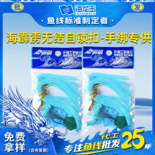 ���������Թ����i�������o�Y�ۏ������ӹ̗U���i���ӿ۝O�����