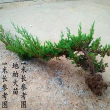 ����ӭ�������͵ذ��쾰�҃����L�����F�k�����Sɽ�_�h�ɾ��^���