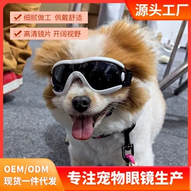 骑行眼镜;滑雪镜;宠物鞋靴