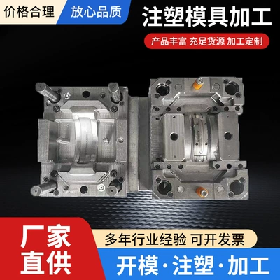 Precision Mold Development Injection Mold Plastic Parts Custom Injection Molding Processing Nylon Parts Special-Shaped Parts Mold Opening Customization