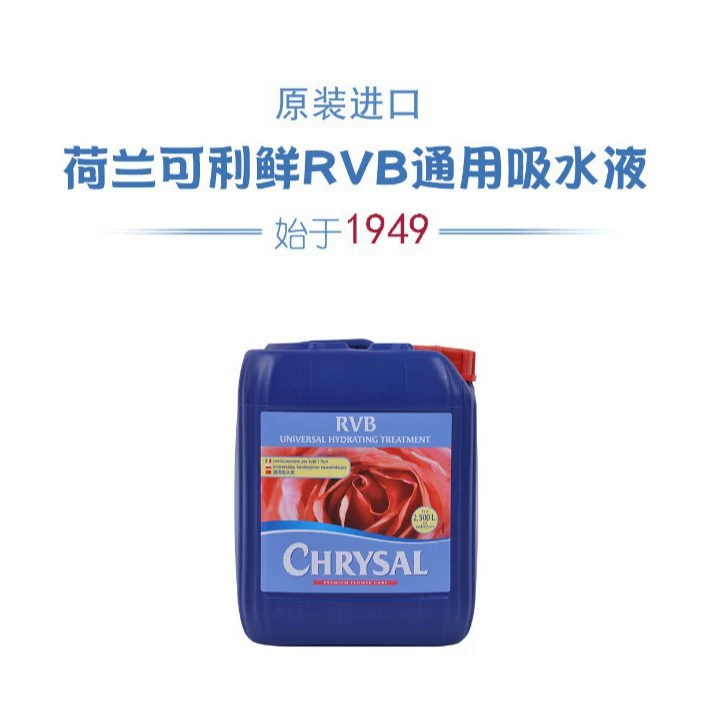 Holland Corey Fresh RVB Роза специальный консервант для цветов питательный раствор цветочный магазин Специальное количество продажа одежды, чтобы разбудить цветы