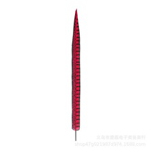 俏花旦京剧戏曲长翎子毛翎羽舞蹈雉鸡翎野鸡毛仿真羽毛亚马逊热销