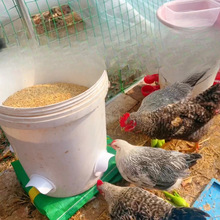 ����ιʳ��С�u����B�uʳ���g�������Ԅ�ιʳι�u�Ԅ�������