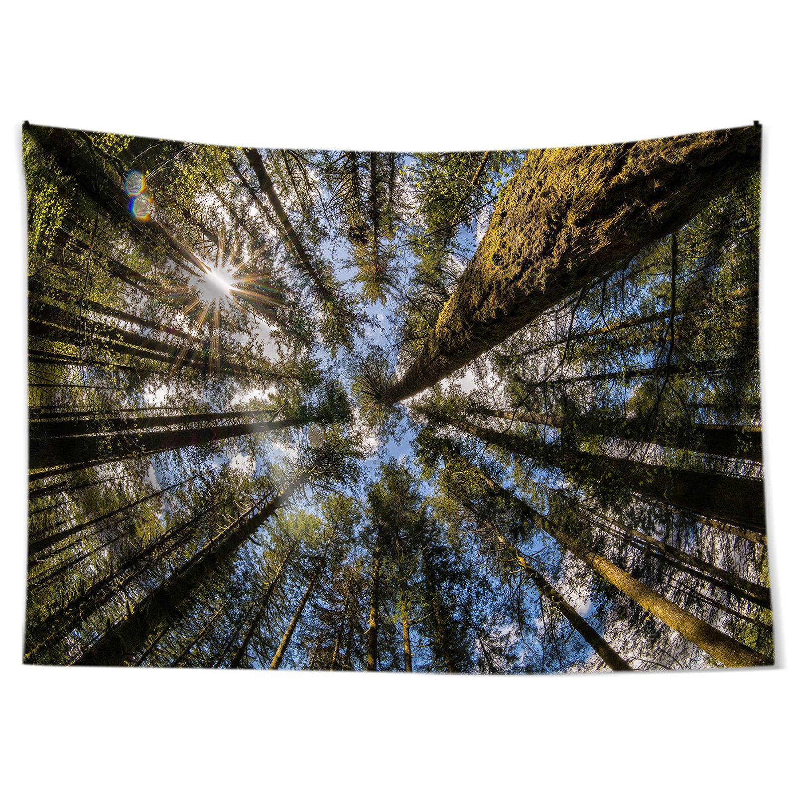 跨境新品北欧大自然风景绿色迷雾森林树林客厅房间床头出租屋挂毯