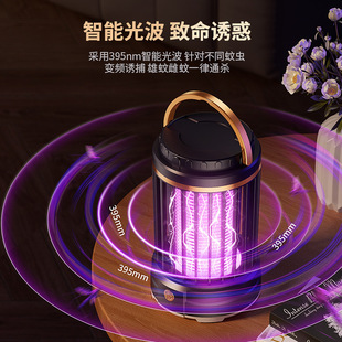 2026�¿�羳늓����ß�����҃���늲������o�����T���x�����ß�
