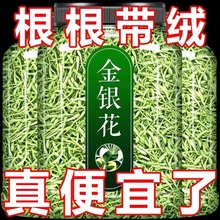 �����y����5g�ؼ���ɢ�b������Ұ��5�B�����~��ș���ݲ�