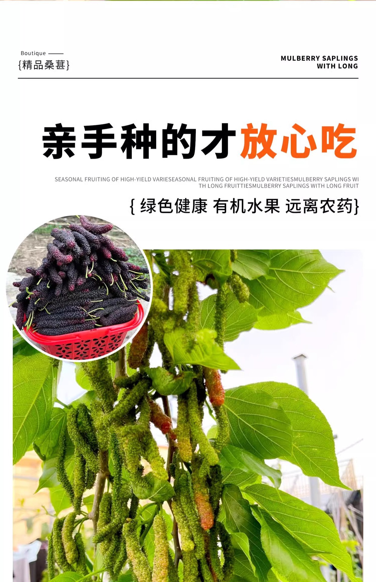 O1CN01Kfsfnt1KQs67mj3Zm_!!2219532571159-0-cib.jpg?sign=583921_Mzg0OTAxODQ5