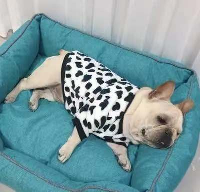 Autumn and winter warm pajamas, coats, small, medium and large French bulldogs, cats and dogs, pet supplies, two-legged clothes