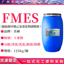 ϲ��FMES FMEE ֬���������������������c ���ͳ�Ϟ/������Ԅ�