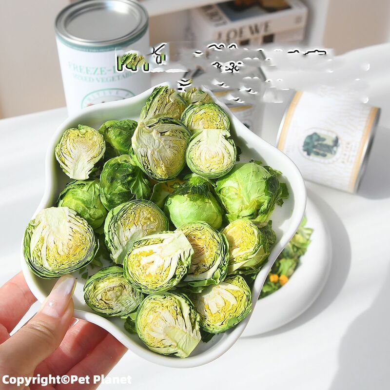 ペット ドッグフード コンパニオン 野菜と果物 フリーズドライ 栄養バランスのとれた 無添加 スナック ニンジン 紫芋 カボチャ|undefined