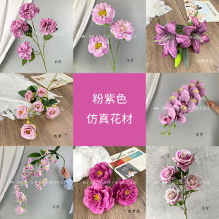 ����ɫϵ���滨 ��c���滨��Y�õ�픲廨�b����������ٻ�