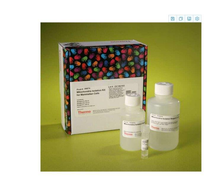 thermo 20148赛默飞LightShift化学发光EMSA试剂盒