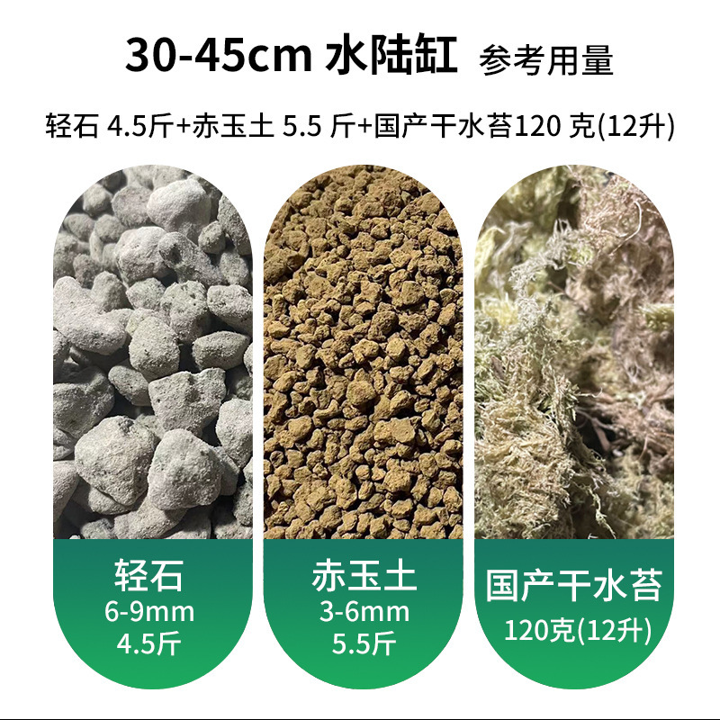 苔の風景材料マイクロ風景 diy 材料パッケージ創造的な生態ボトル作成材料水陸タンク造園材料|undefined