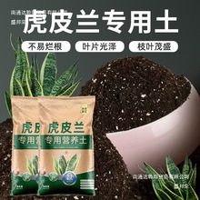 �ԷN��߅��Ƥ�m���I�B�����������N�Bֳ������β�m������ˮ����