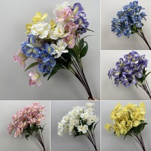 Сtٻ[pݔzӰµ߷߶һcSβ