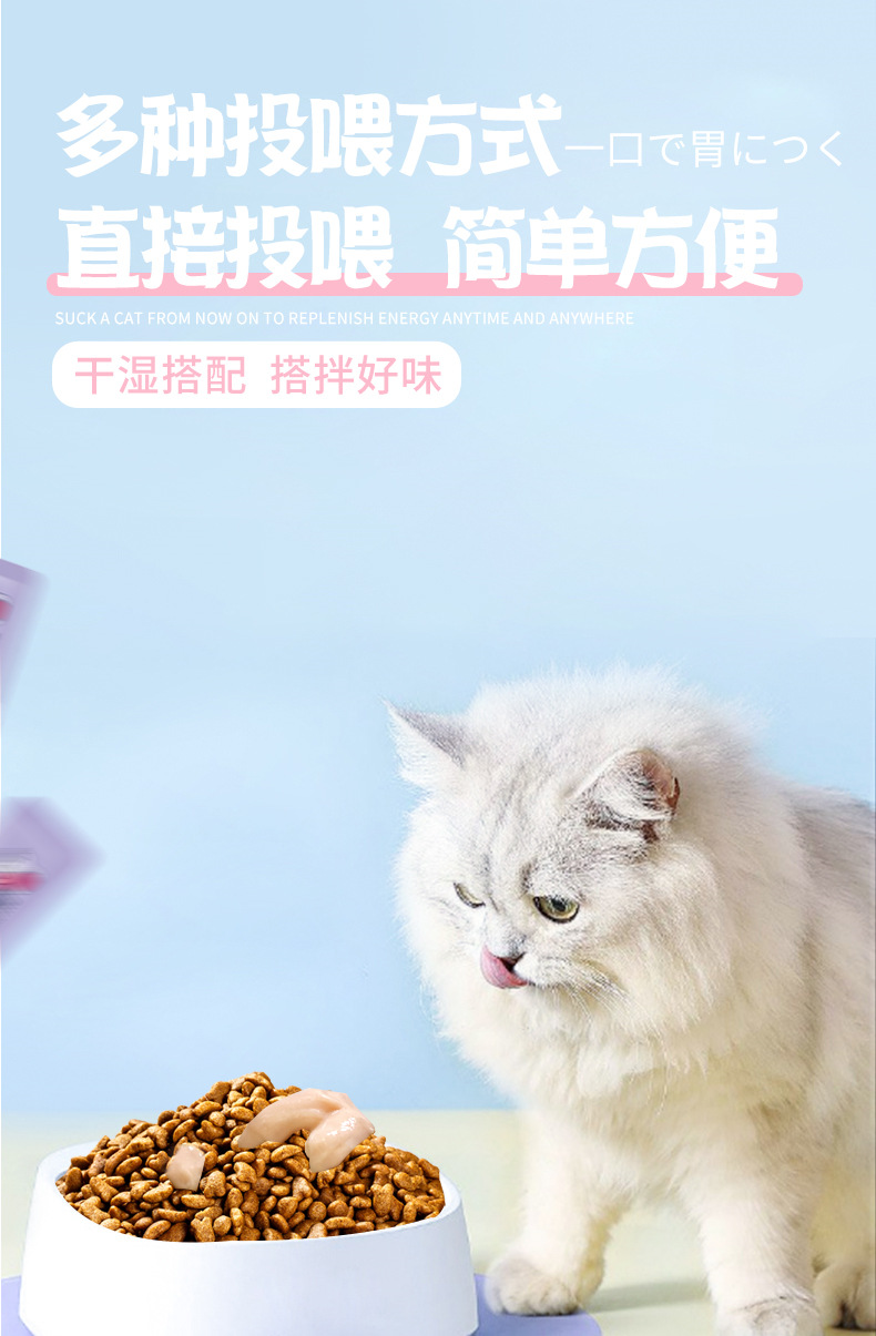 1_08.jpg