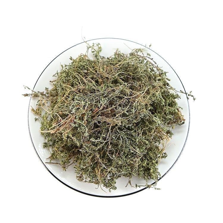 Centipeda Grass Powder E Bu Shi Cao 500g Dried Herbal Powder for Traditional Decoctions and External Use quality and texture
