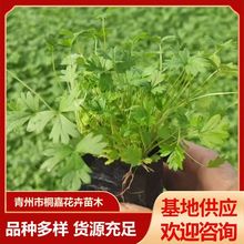 ���ݻ��ع������~���~ή��� �޸��ݻ��G��ί��˹������Ի���