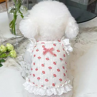 �����·��ļ�����͸���w�乷������̩�ϱ���С؈�������������