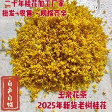 �V�����֏S�ҿ�ʳ�ù𻨹𻨸ɹ𻨵͜�Óˮ��𻨲��~�B�������