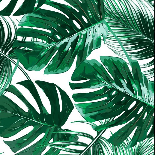 Algodón impreso Toalla de baño algodón hombres y mujeres hogar absorbente de secado rápido playa regalo Toalla de playa fábrica al por mayor